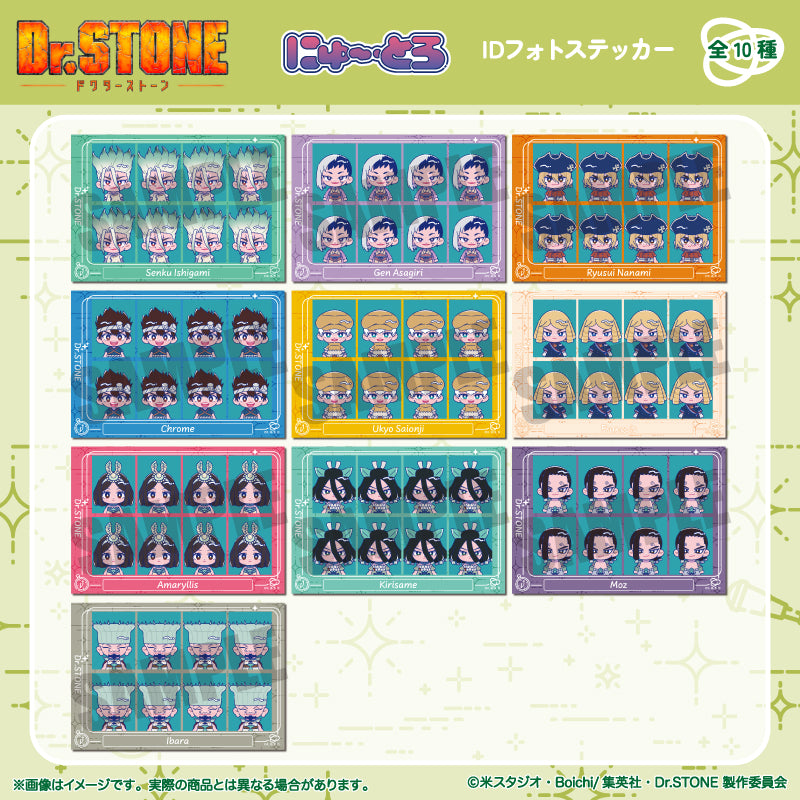 TVアニメ「Dr.STONE」 にゅ〜とろ 第二弾 IDフォトステッカー – MENEGI