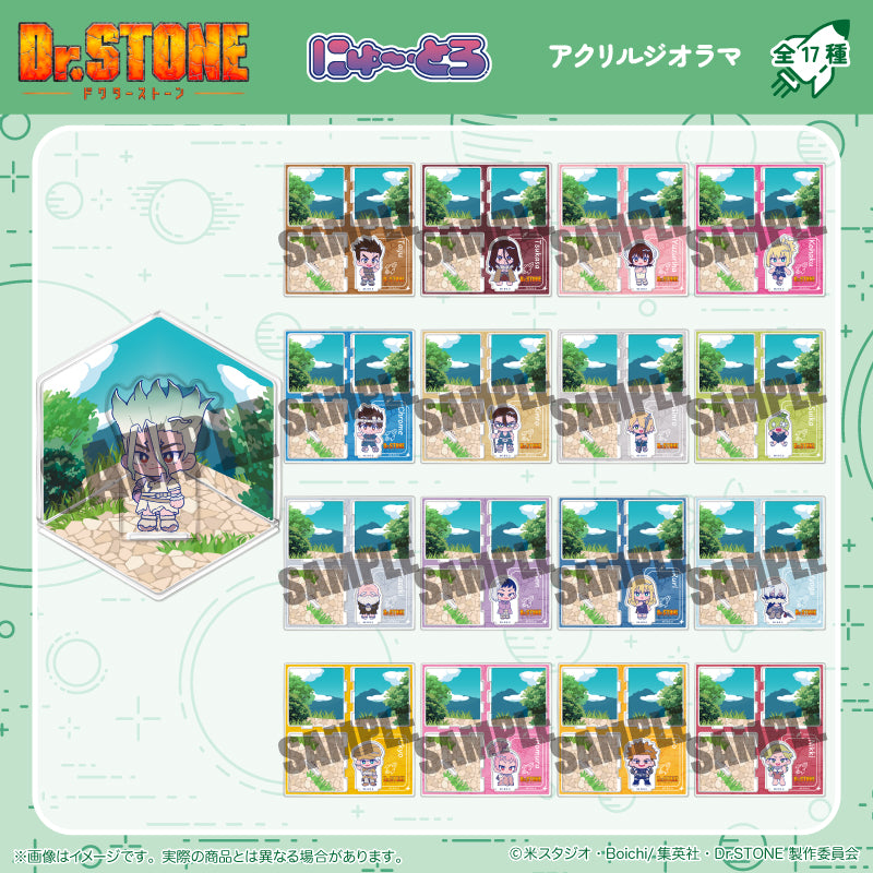 TVアニメ「Dr.STONE」にゅ〜とろ アクリルジオラマ