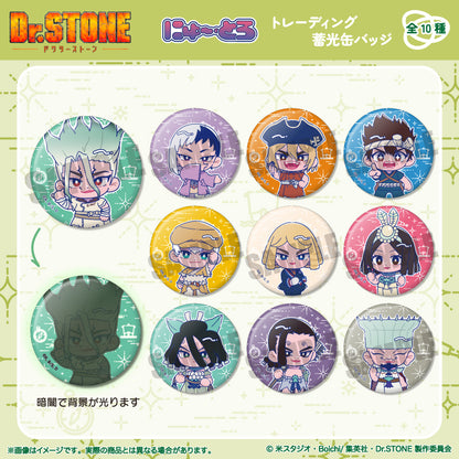 TVアニメ「Dr.STONE」 にゅ〜とろ 第二弾 蓄光缶バッジ