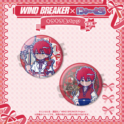 TVアニメ「WIND BREAKER」 にゅ〜とろ バースデーグッズ 焚石 矢 キラキラ缶バッジ