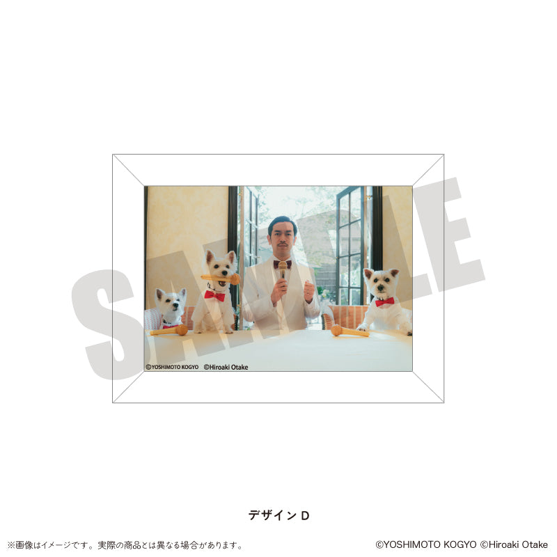 ムーディ勝山 マグネットフレーム（ブラインド全12種）