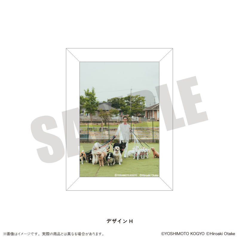 ムーディ勝山 マグネットフレーム（ブラインド全12種）