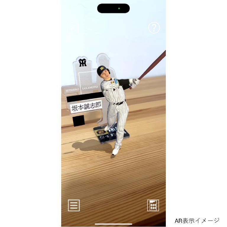 阪神タイガース ARアクリルスタンド 坂本誠志郎 AR表示イメージ